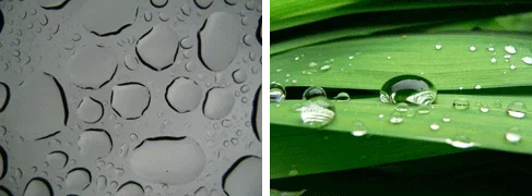 Two photos: (left) Flat, watery areas on a glass surface. (right) Rounded water beads on a green leaf.