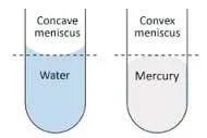 The image shows a diagram of the meniscus of water and the meniscus of mercury in the same glass test tubes. Water has a concave meniscus while mercury has a convex meniscus.