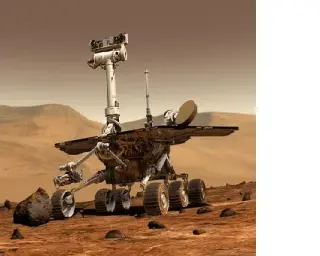 edible_rovers.png