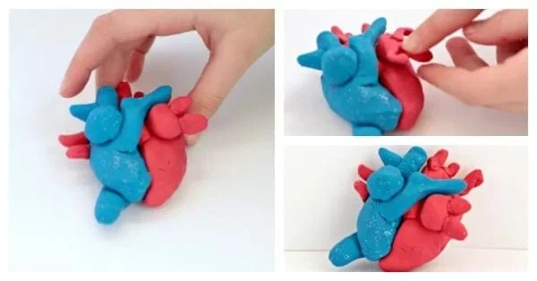 A shape that is almost round, that is made out of soft material like Play-doh with red and blue coloring.