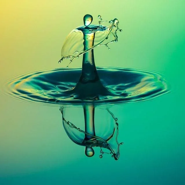 Visual Art and Writing in Science and Engineering