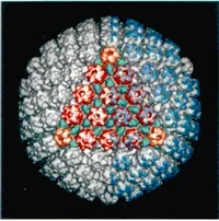 What looks like an orb composed of many smaller objects of different colors and shapes.