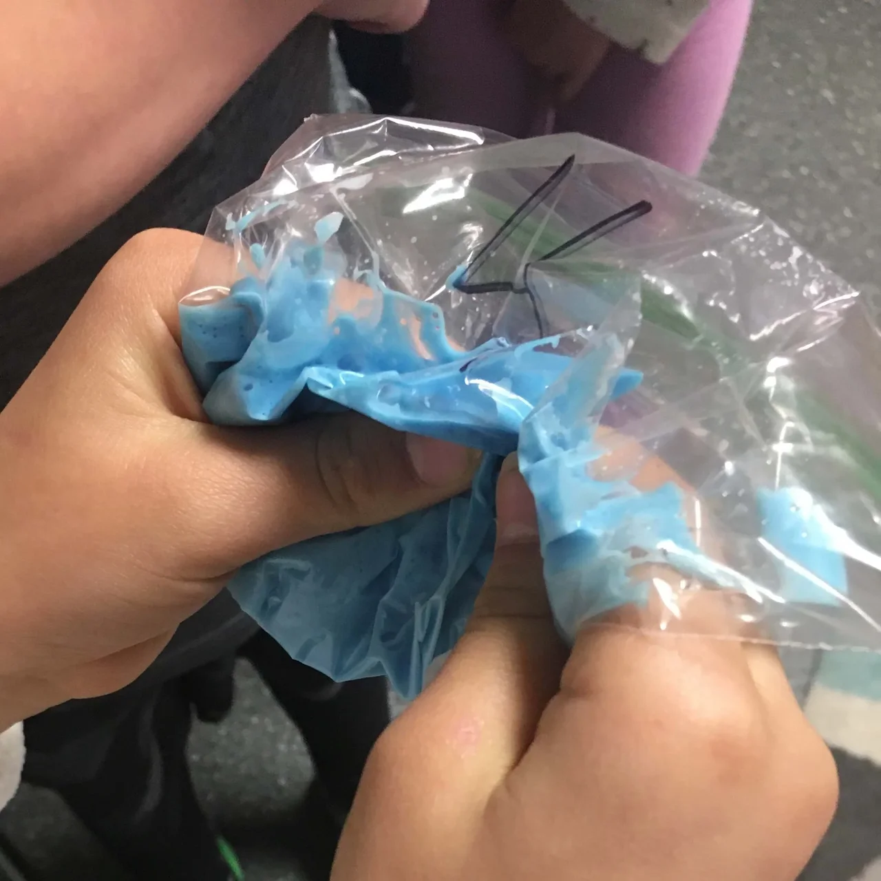 Students mix their slime ingredients in a plastic bag. The slime is of a bluish color.