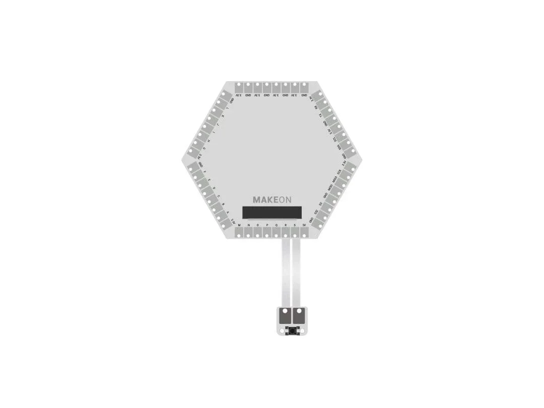 A figure showing a microcontroller connected to a button switch.