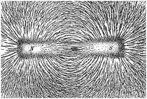 Picture of iron filings lining up along the field lines produced by a bar magnet.