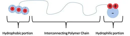 Line drawing shows a long curvy line (an interconnecting polymer chain) with a CO2 molecule at its left end (hydrophobic portion) and a H2O molecule at its right end (hydrophilic portion).