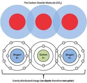 Schematic model of the charge distribution in a carbon dioxide molecule shows even distributed charge (no dipole, therefore non-polar).