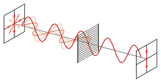 A line diagram shows two screens and a wire-grid polarizing filter. On the first screen, on the left, many orientations of light are shown, traveling in a sinusoidal path towards a filter. After the filter, only a vertical polarization of light remains to travel on towards the second screen.