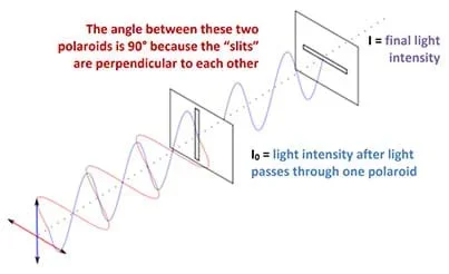 A line drawing shows the passing of light through two polaroids. The first polaroid (a vertical slit) vertically polarizes the light and the second is a horizontal polaroid (horizontal slit). The exiting wave is indicated by a straight dotted line, signaling no light made it through the two filters. The angle between the two polaroids is 90° because the “slits” are perpendicular to each other. I0 is the light intensity after passing through the first polaroid. I is the final light intensity, after passing through both polaroids.