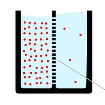 Just Like Kidneys: Semipermeable Membrane Prototypes