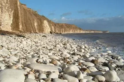 A photograph shows a curving shoreline with white cliffs and a “beach” composed of large white rounded rocks; this is Chalk Pebble Beach in England.