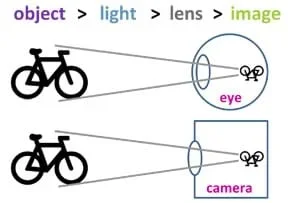 A simple diagram compares a human eyeball "seeing" a bicycle and a camera "seeing" a bicycle. The observed object, the bicycle, appears upside down inside and at the back wall of the eyeball (retina) and camera (film), both having been perceived by a lens focusing incoming light onto a photosensitive area.