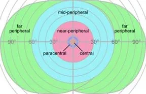 A line drawing shows concentric circles (widening to ovals) from a center point with inner, mid and outer areas labeled central, paracentral, near-peripheral, mid-peripheral and far peripheral, and markings indicating zero to 90-degrees from either side of the center point.