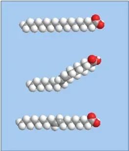 Drawings of the chemical structures for saturated fat (a), monounsaturated fat (b), and trans fat (c) created with ChemBio3D Ultra software.