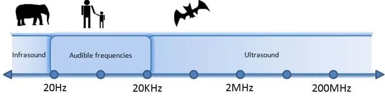 A diagram shows the ultrasound frequency range, from infrasound (20 Hz or lower; elephants can hear) to audible frequencies (20 Hz to 20 KHz, people can hear) to ultrasound (20 KHz to 2 MHz to 200 MHz +, bats can hear).