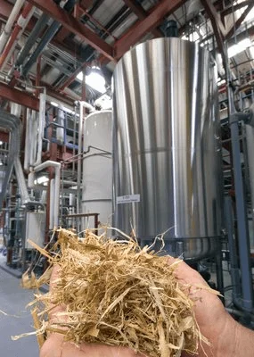 Biomass material at a processing facility