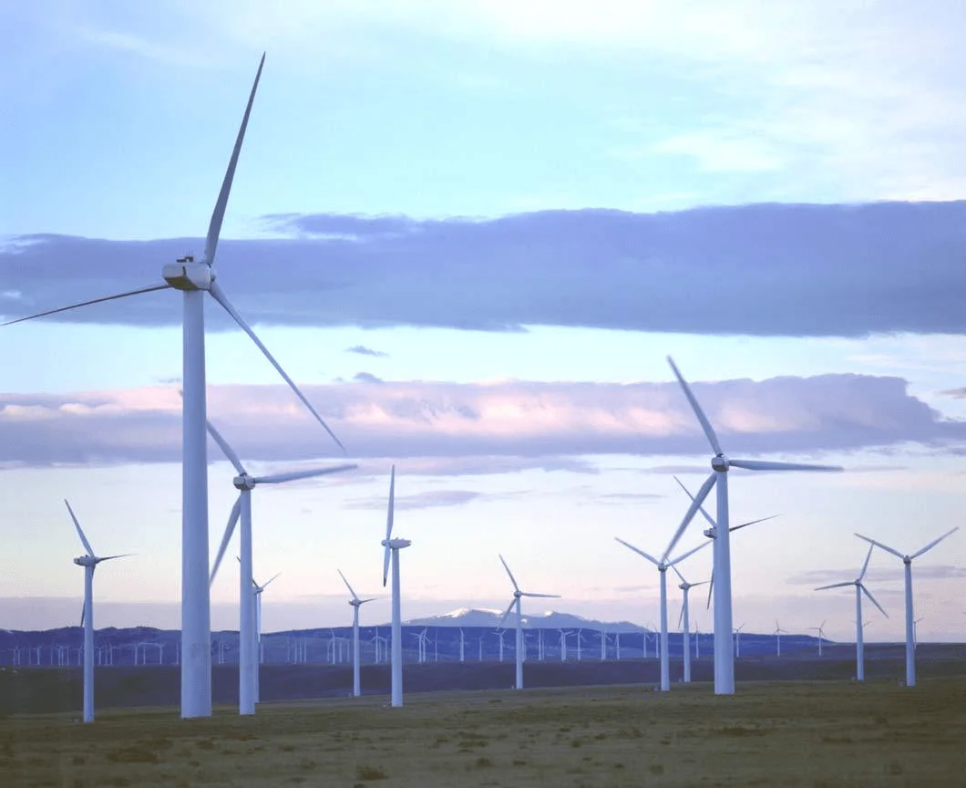 Wind turbines on a wind farm