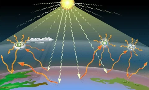 A diagram shows how the carbon cycle works on the earth’s surface.