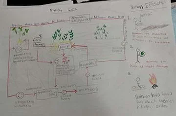 A student drawing of the nitrogen cycle.
