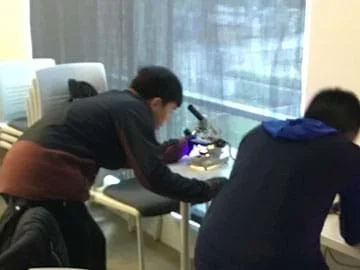Two students look through microscopes at a lab station.