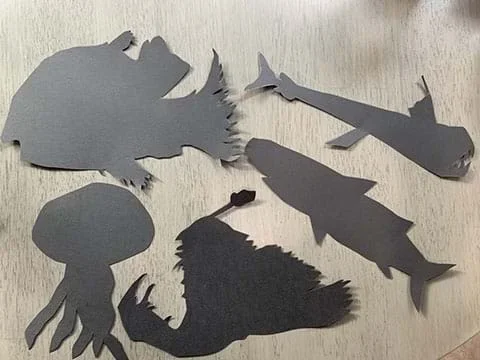 Various aquatic organism cut-outs on black cardstock.