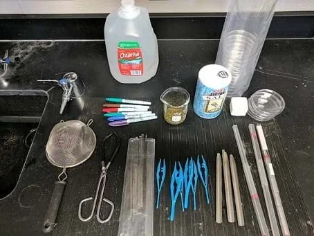 Laboratory equipment is set out in preparation of Option 2, including distilled water, a colander, salt, petri dishes, markers, mung bean seeds, stirring rods, forceps, scupulas, and thermometers.