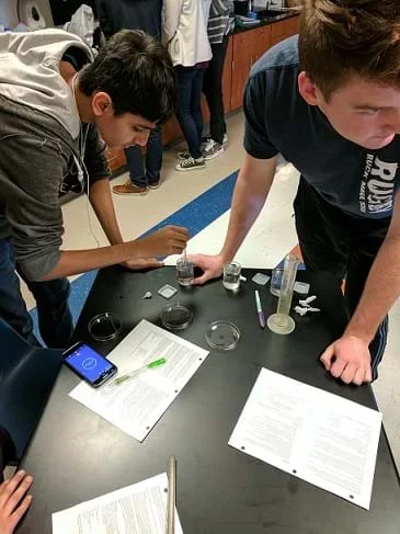 Two students at a lab table with three beakers of different concentrations they prepared of saline concentrations for mung bean treatment.
