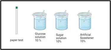 An image showing a paper test strip and three beakers, each containing a clear liquid labeled as 10% glucose solution, 10% sugar solution, and 10% artificial sweetener, with stirring rods inside the beakers. The paper test strip has a small green square at the top, indicating the reacting area.