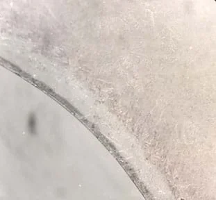 The edge of a dried sample of silver nanoparticles.  There is a hard gray edge of silver next to layers of silver dendrites.