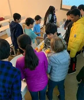 A group of students examine various citrus fruit on a table in a classroom.