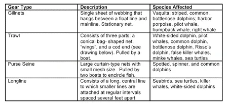 A three- column by four-row table provides gear type, description and species affected. Row 1: Gillnets are a single sheet of webbing that hangs between a float line and mainline; a stationary net. Species affected: Vaquita; striped, common bottlenose dolphins; harbor porpoise, pilot whale, humpback whale, right whale. Row 2: A trawl consists of three parts: a conical bag-shaped net, "wings," and a cod end (see drawing below); pulled by a boat. Species affected: White-sided dolphin, pilot whales, common dolphin, bottlenose dolphin, Risso's dolphin, false killer whales, minke whales, sea turtles. Row 3: A Purse seine is a large curtain-type nets with small mesh size; pulled by two boats to encircle fish. Species affected: Spotted, spinner and common dolphins. Row 4: A longline consists of a long, central line to which smaller lines are attached at regular intervals spaced several feet apart. Species affected: Seabirds, sea turtles, killer whales, shite-sided dolphins.