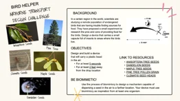 A screenshot of the airborne transport design challenge brief.