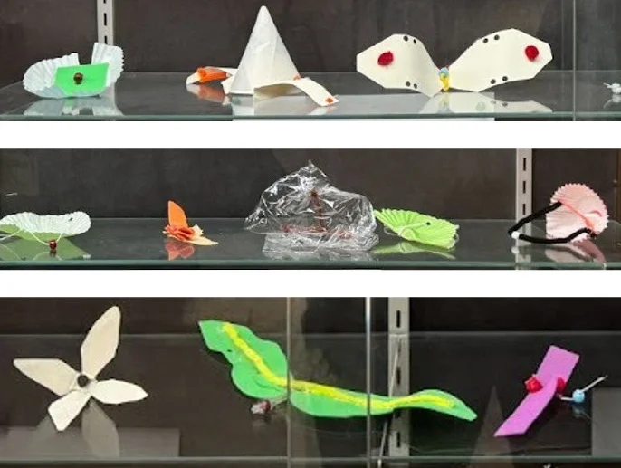 A photo of a glass display behind which there are 6 different designs that students made for the wind dispersal activity. 