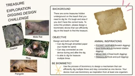 A screenshot of the biomimetic digging design challenge brief.