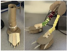 A photo showing models made from a cardboard tube with craft sticks mimicking claws attached to their base. A piece of cardboard is attached to the top side to accommodate the battery-operated motor.