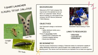 A screenshot of the biomimetic flinging design challenge brief.