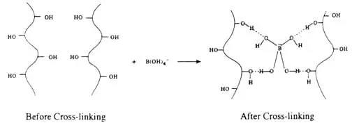 A diagram shows the polyvinyl acetate polymer before cross-linking and after cross-linking.
