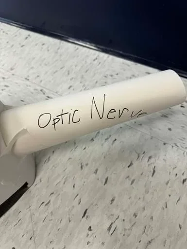 A photo showing the optic nerve view of a student’s eye model.