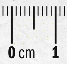 An up-close image of ruler markings of 0 cm and 1 cm, with small lines indicating each tenth of a centimeter. Barely noticeable yellow dots are scattered between 0 cm and 1cm.