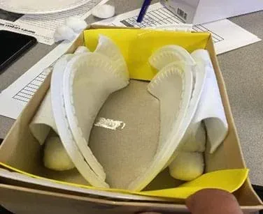 A photograph shows a shoebox design with materials such as, styrofoam plates, cotton balls, and foam sheets to attempt to dampen the sound that is leaving the room.