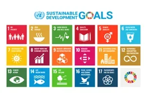 The Sustainable Development Goals