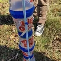 A photo of three discarded plastic cups formed into a pillar and designed to protect a young tree.
