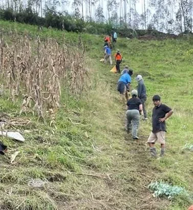 A photo of a grassy hillside viewed from the bottom, where people are lined up, handing off bags of material to the next person down the hill. A corn field lies adjacent to the exhausted-looking people.