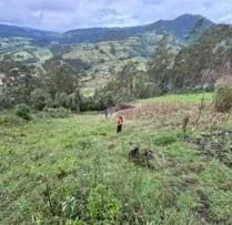 A photo showing the top of a steep hill, with people positioned along the hillside to receive material in an assembly line format.