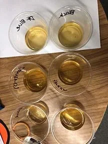 Six cups in two rows of three.  There is a small amount of growth on the lower right cup.  No growth on the other cups. Cups are on a brown wooden table.