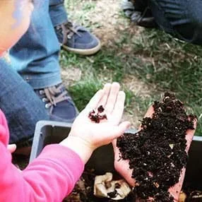 Soil from Spoiled: Engineering a Compost Habitat for Worms