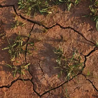 uof-2491-drought-square.jpg