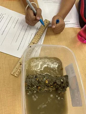 A picture of a seawall design with eroded sand.