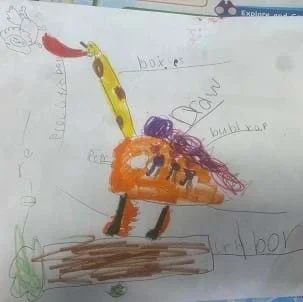 Animal Adaptations Fashion Show