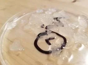 The picture shows a petri dish filled with a hydrogel. The hydrogel had been cut into pieces after drying and then rehydrated. It is marked with a trial number from the initial trials and is setting on a wood table.